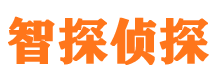 镇原市私家侦探